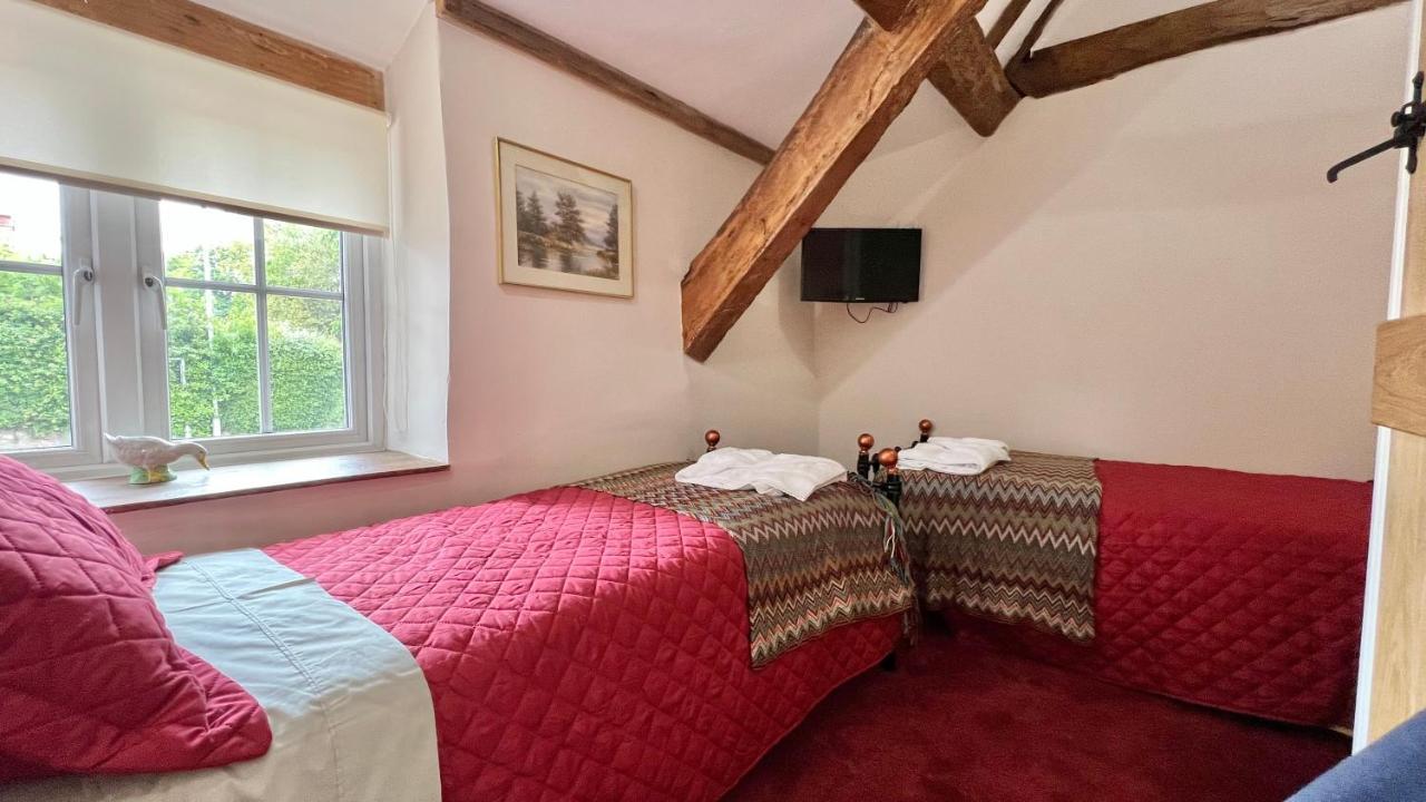 Cosy Cottage 惠灵顿 外观 照片